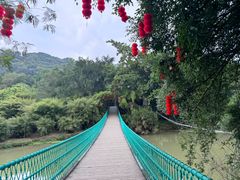 -南宁良凤江国家森林公园