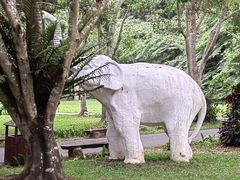 -野象谷景区