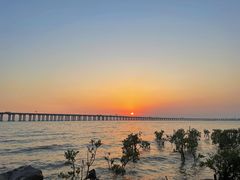 -宝安西湾红树林湿地公园