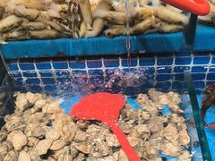 -海汕记·潮汕鲜牛肉火锅·自助