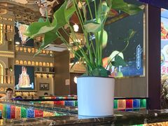 -巴依老爷新疆美食(常营店)
