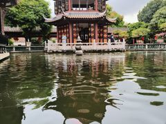 -碧江金楼