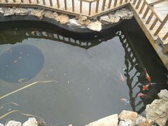 -中苑海韵