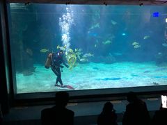 -石家庄海洋公园