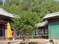 -宫事颐庭·老佛爷贵寿下午茶(颐和园店)