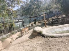 -泉州海丝野生动物世界