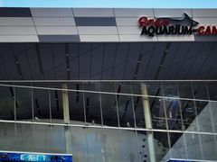 -瑞普利水族馆