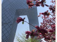 -中央广播电视总台(光华路办公区)