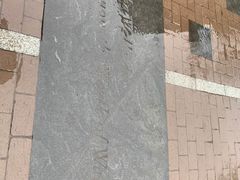-宾夕法尼亚大学沃顿商学院