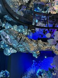 -格乐利雅婚礼艺术中心(南外滩店)