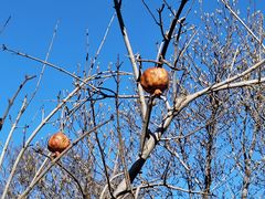 -齐白石旧居纪念馆
