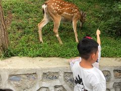 -大连森林动物园