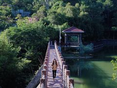 -广州白江湖森林公园