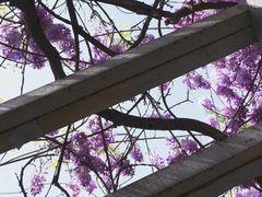 -郑和公园
