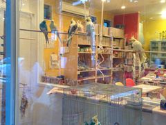 -三鹰之森吉卜力美术馆