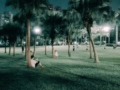 -东风公园