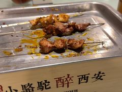-福苗小骆驼烧烤(莲湖路店)
