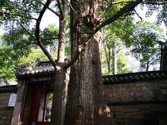 -青岛崂山太清宫