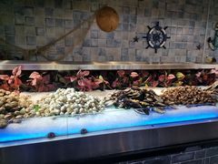 -鑫海汇海鲜烤肉自助(北国商城店)