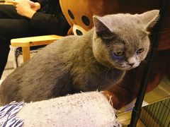 -平行世界·猫咖(首经贸店)