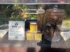 -广州神农草堂中医药博物馆