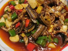 -龙小海荆沙鸽子店(瑞安街店)