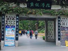 -西湖外事游船(花港观鱼码头)