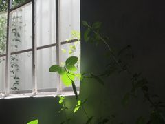 -坂田手造文化街