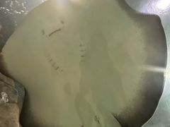 -苏州海洋馆