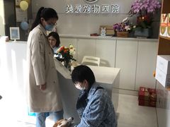 -关爱宠物医院·猫科中心·消化科(滨湖万达分院)