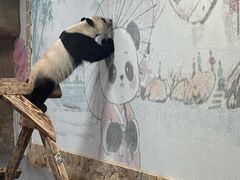 -无锡动物园·太湖欢乐园
