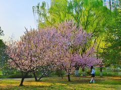 -白塘生态植物园