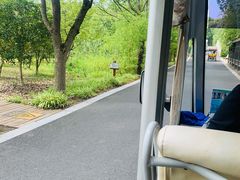 -同里国家湿地公园