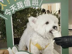 -星巴克(南宁华润幸福里店)