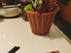 -洪氏嗨捞·猪肚鸡火锅(阳光天地店)