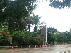 -广东茂名森林公园