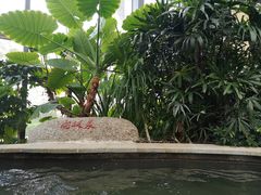 -郑州银基黄帝宫御温泉