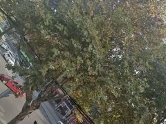 -菩之悦足道会馆(八佰伴店)