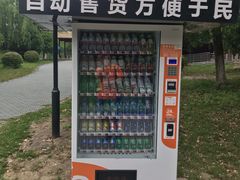 -南湖湿地公园