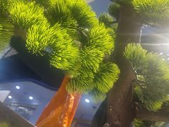 -海鲜时间自助餐厅(如皋万达广场店)