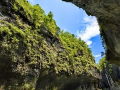 -鹿院坪生态旅游景区