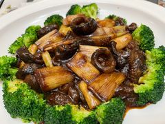 -鲁宴·鲁煨黄河生态大鲤鱼(月坛店)