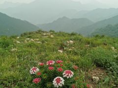 -灵山