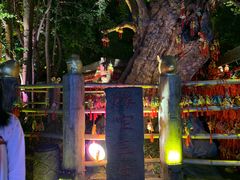 -成都恒博医院·全科检查