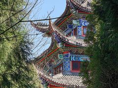 -武陵山森林公园