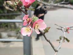 -济南南郊宾馆