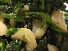 蛏子菠菜-紫光园·烤鸭·北京菜(劲松店)