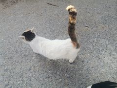 -万达广场(太原街店)