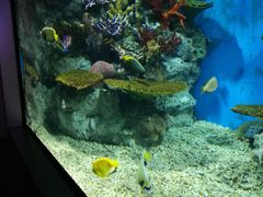 -福州罗源湾海洋世界旅游区