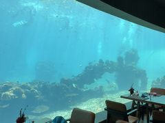 -海棠湾洲际-涛·海底餐厅·美人鱼·自助餐·海底隧道